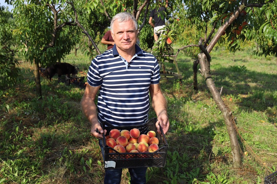 Марк Столпов