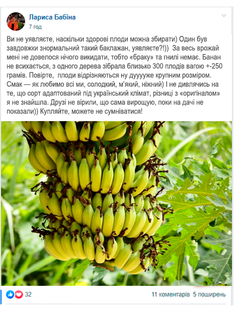 Заголовок
