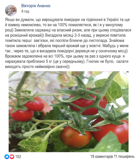 Заголовок