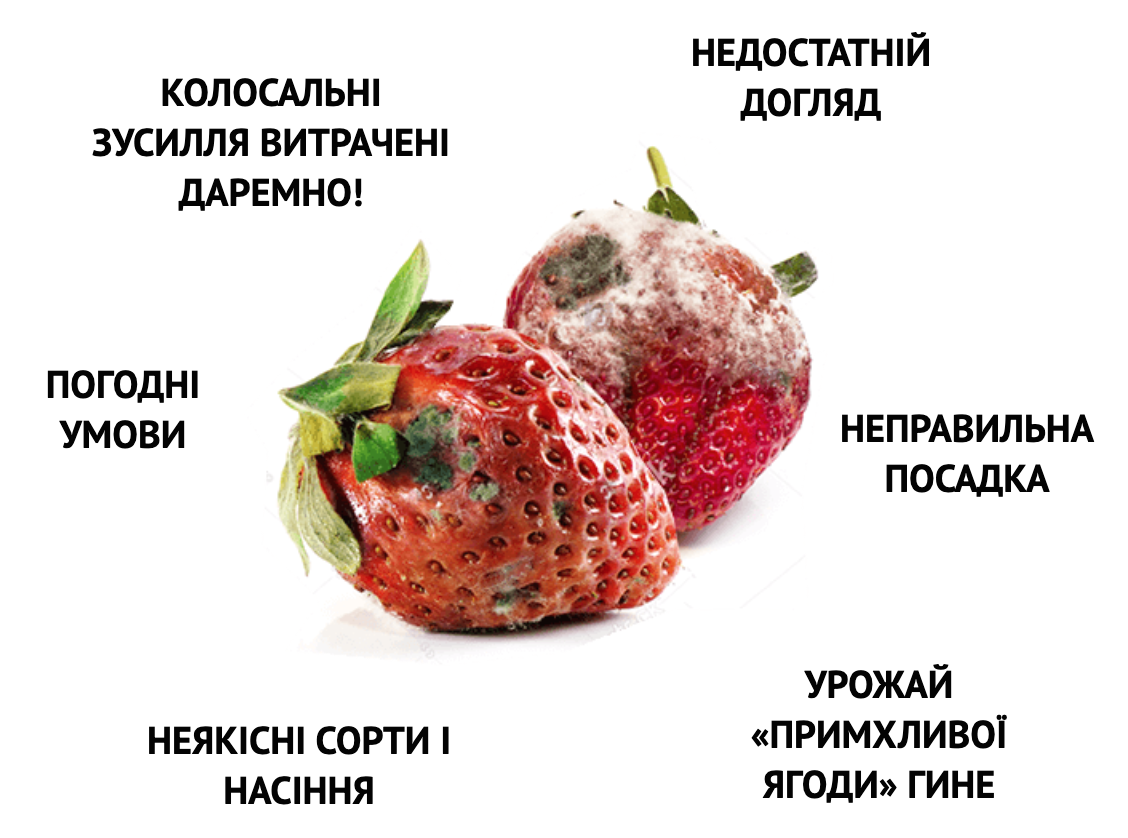 Заголовок