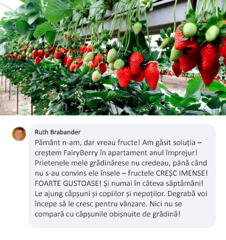 Заголовок