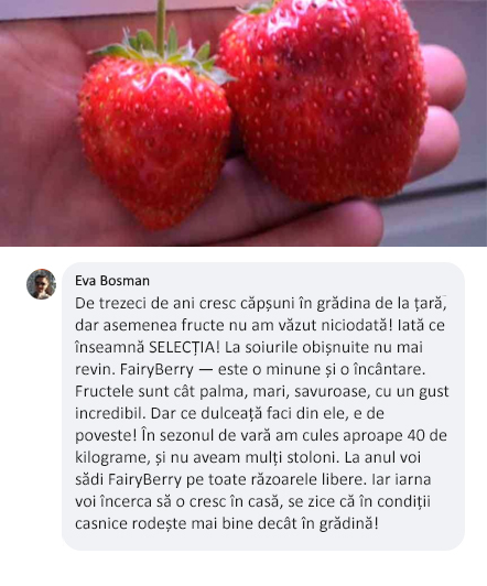 Заголовок