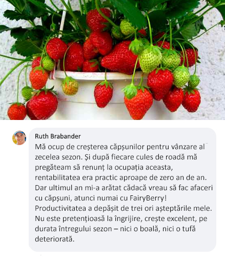 Заголовок