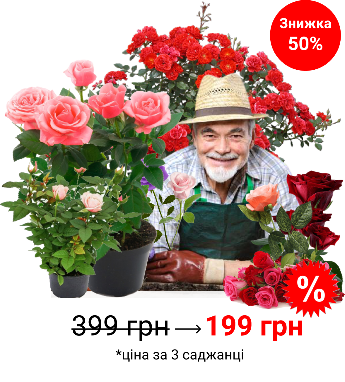 Заголовок