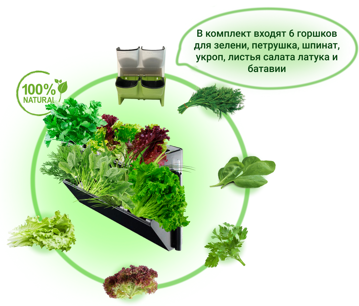 Заголовок