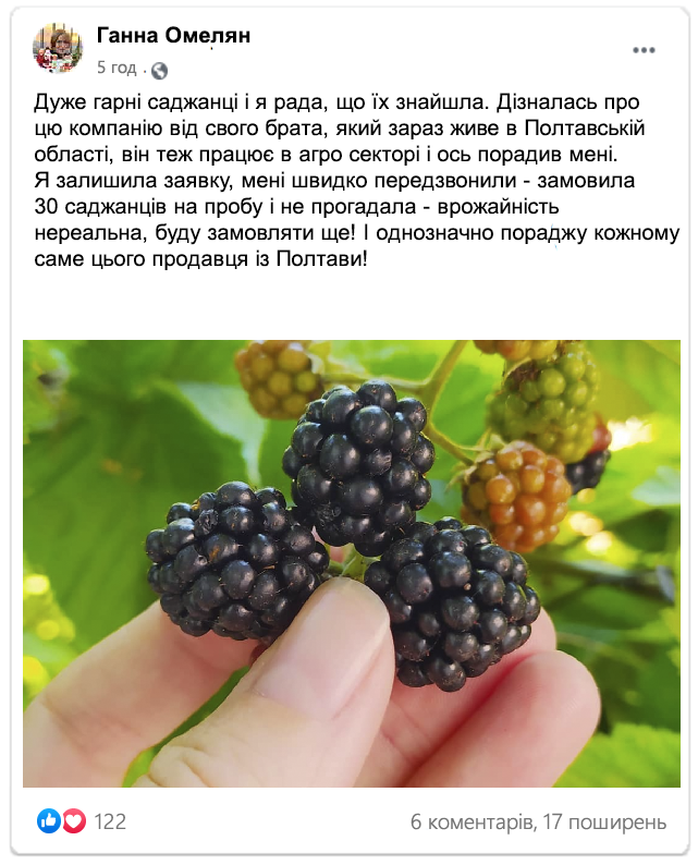 Заголовок
