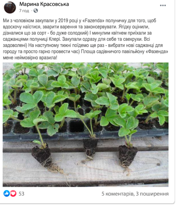 Заголовок