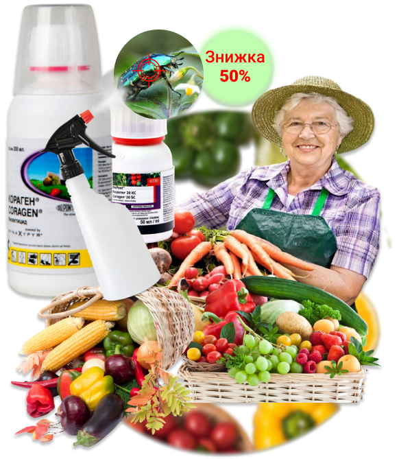 Заголовок