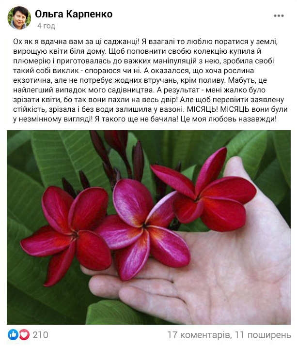Заголовок
