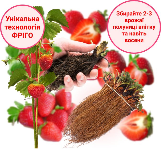Заголовок