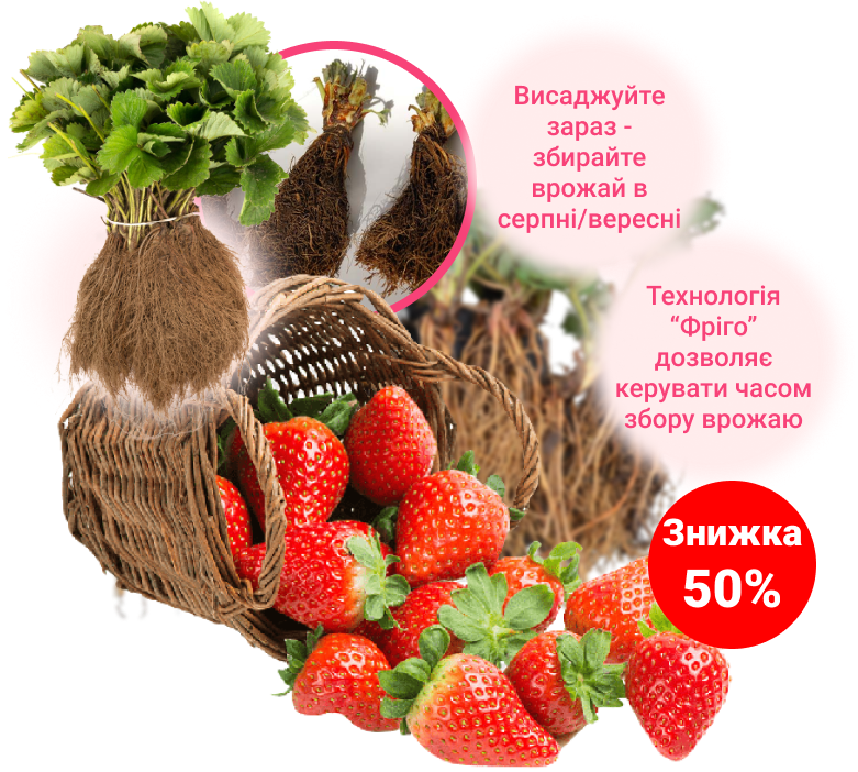 Заголовок
