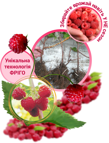 Заголовок