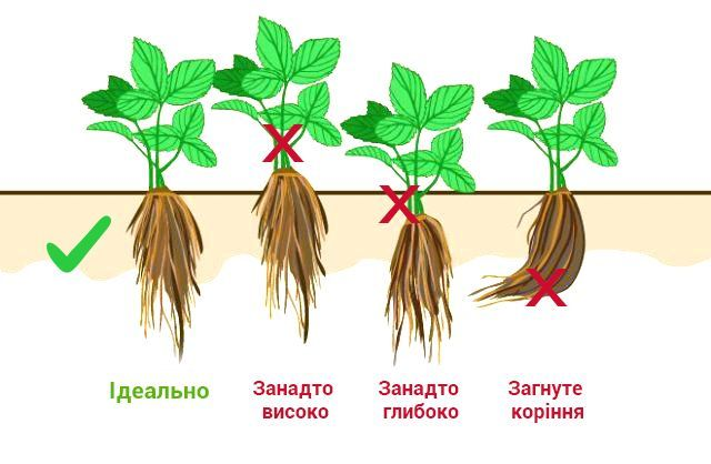 Заголовок