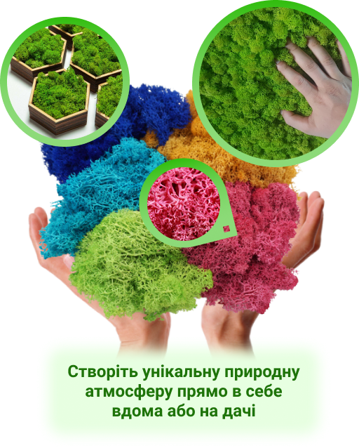 Заголовок
