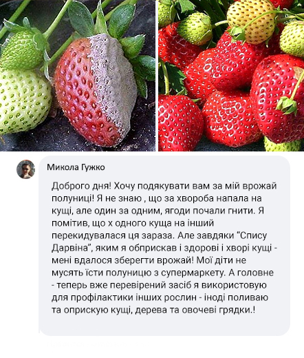 Заголовок