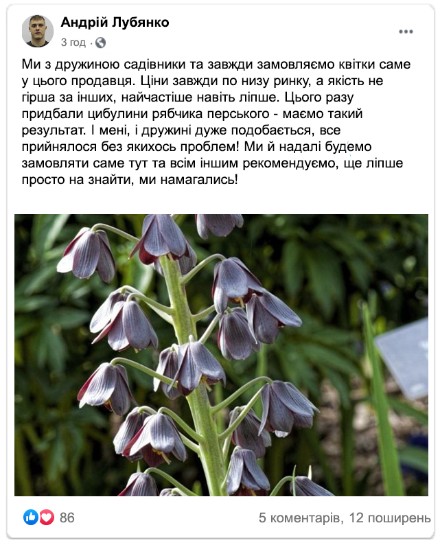 Заголовок