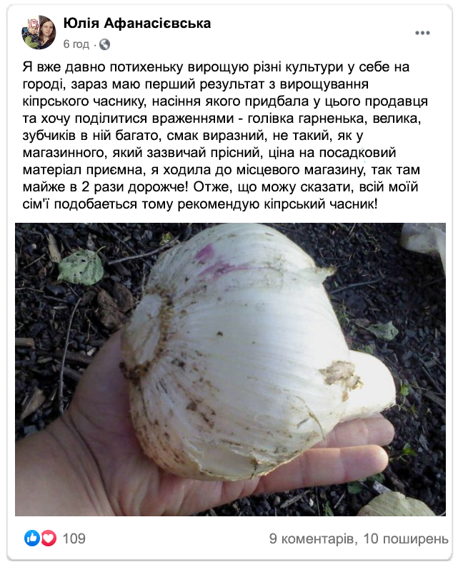 Заголовок