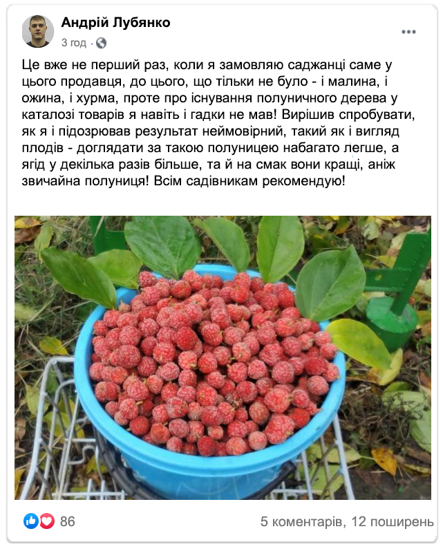 Заголовок