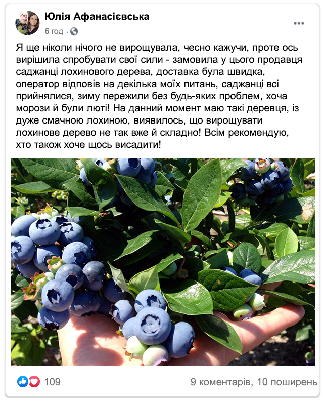 Заголовок