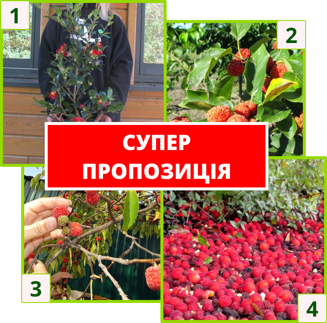 Заголовок