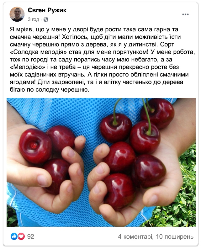 Заголовок