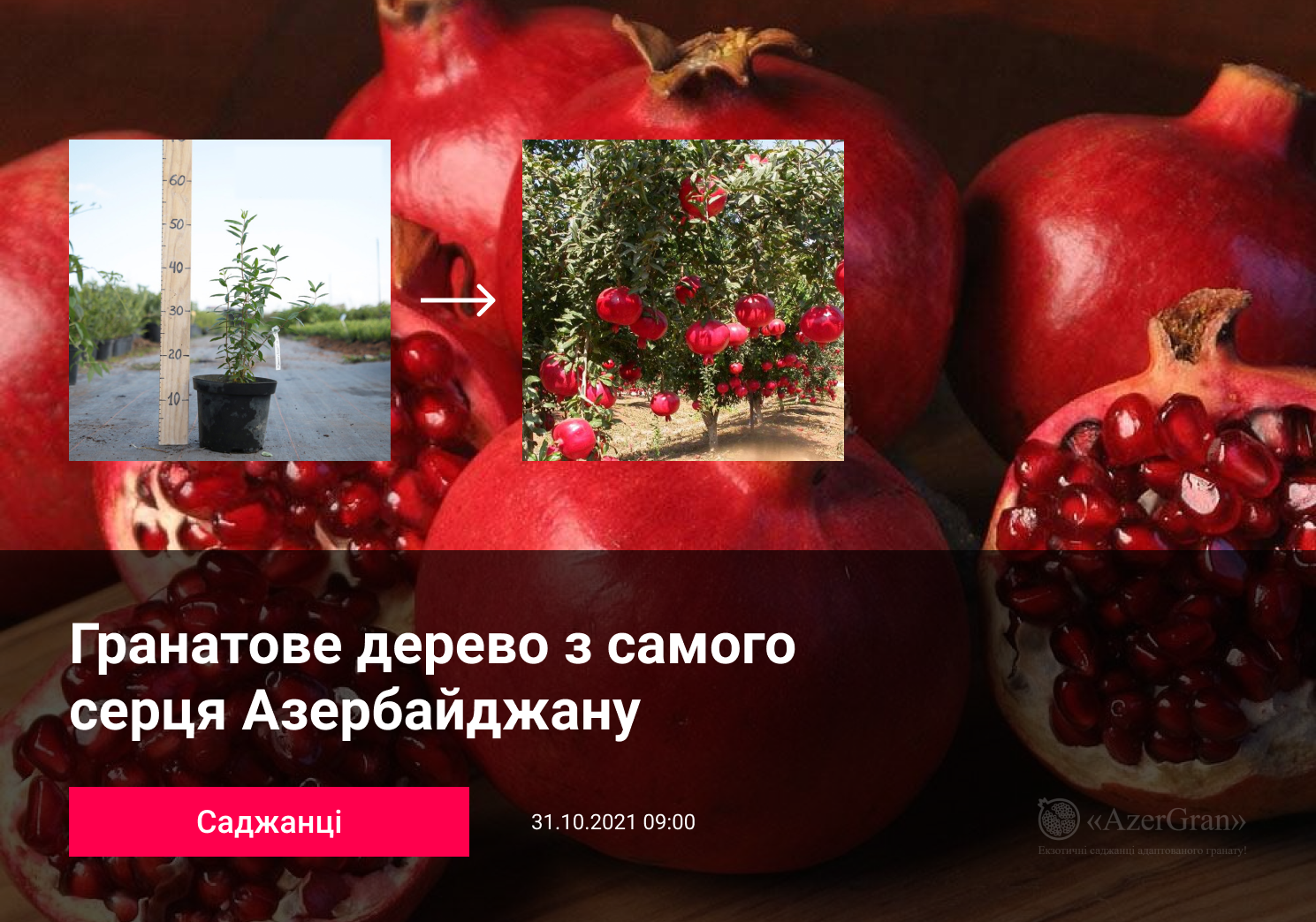 Заголовок