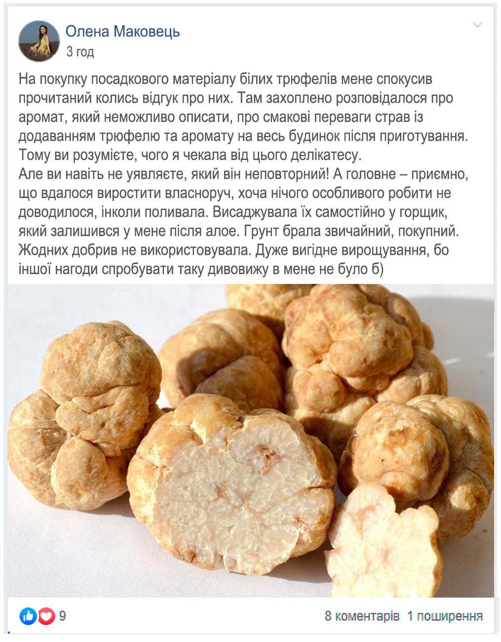 Заголовок