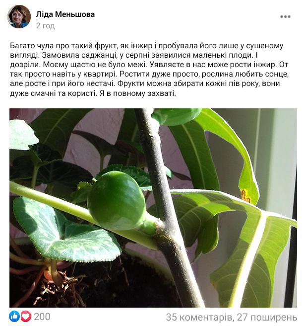 Заголовок