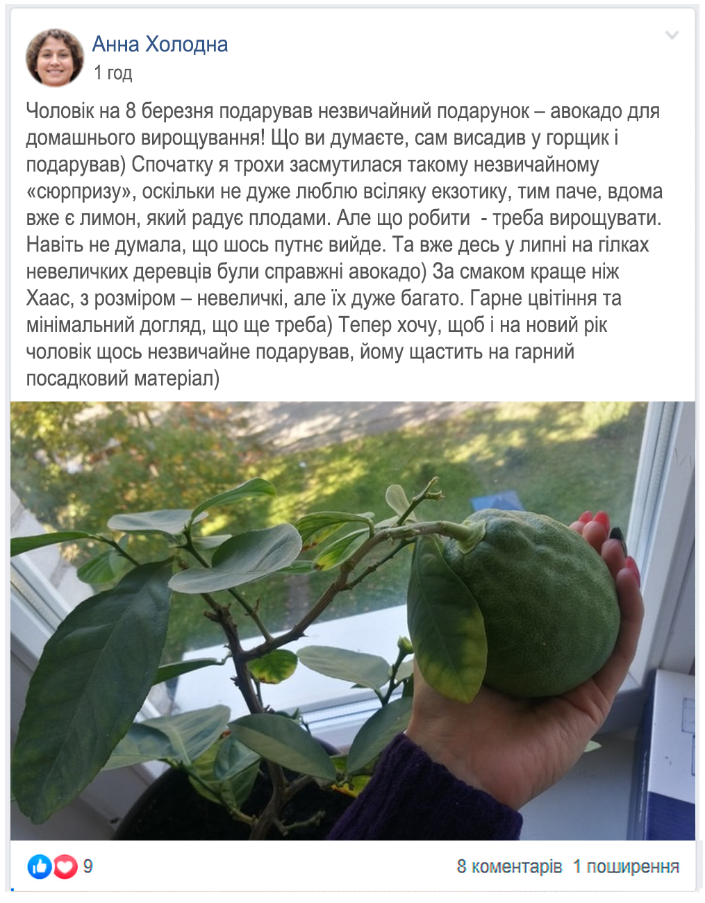 Заголовок