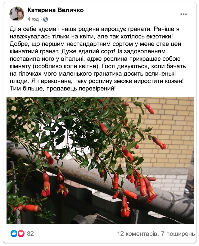 Заголовок