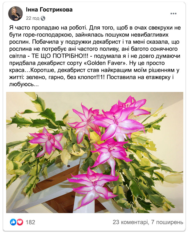 Заголовок