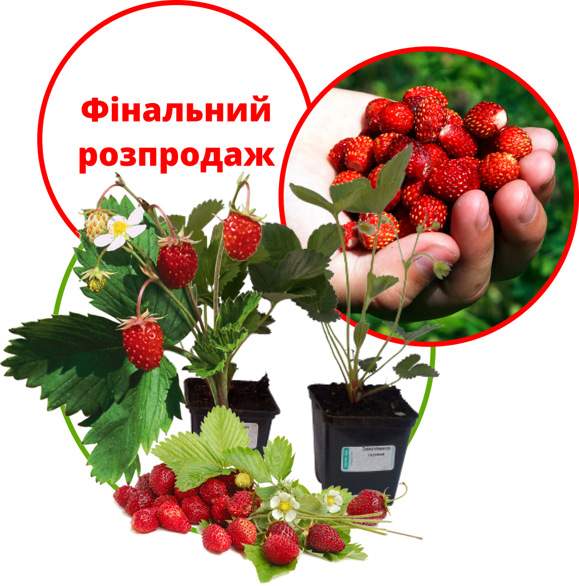 Заголовок