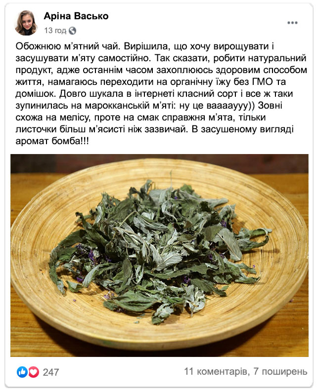 Заголовок