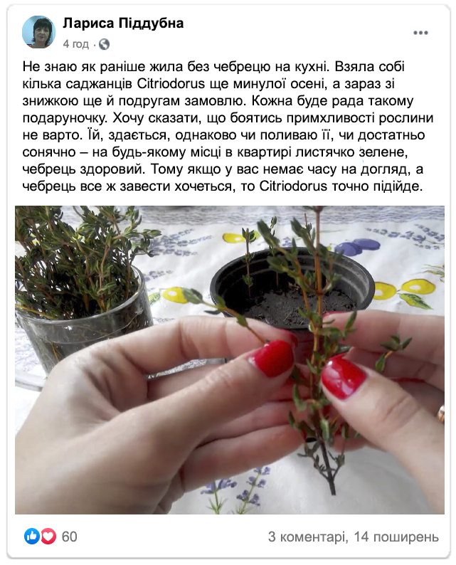 Заголовок