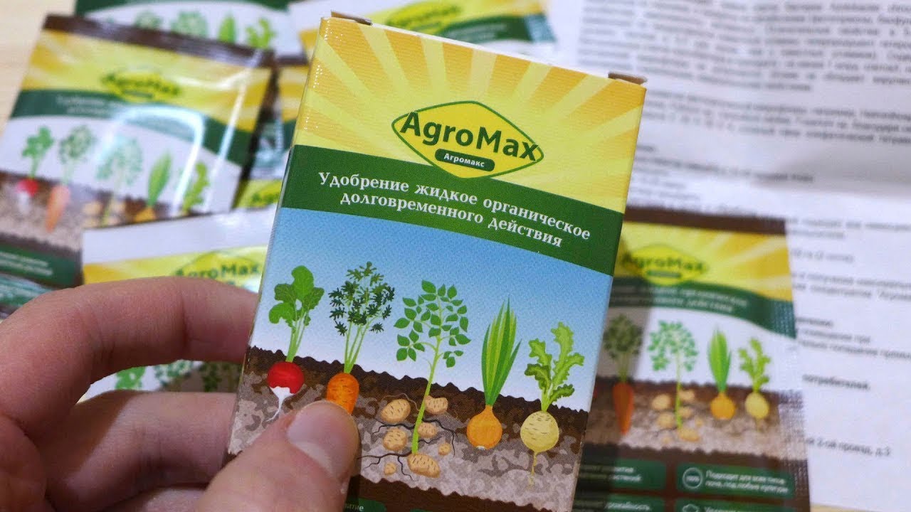 Заголовок