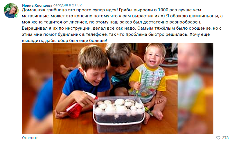 Заголовок