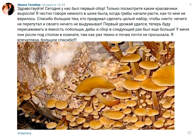 Заголовок